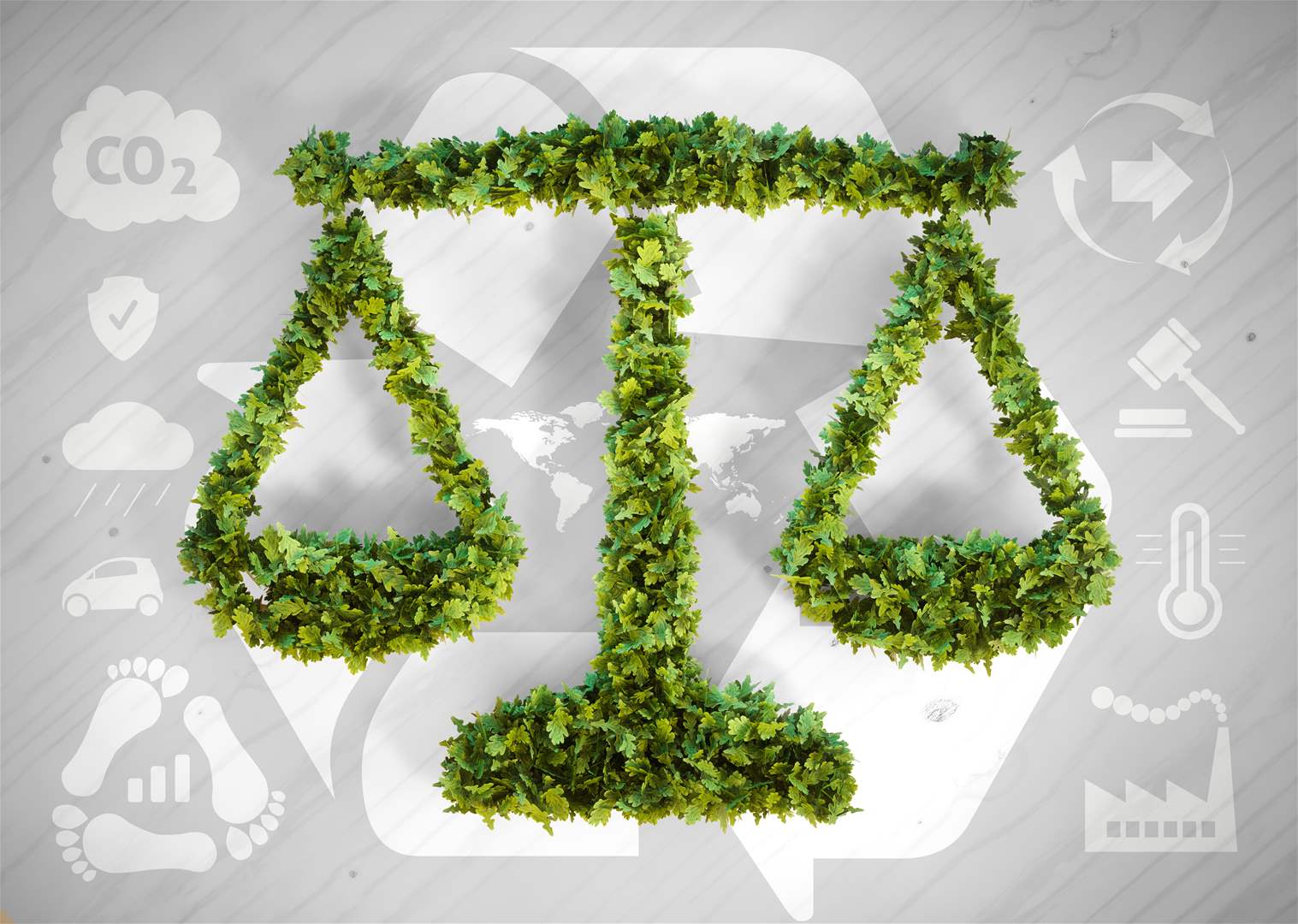 Environmental Litigation Support
