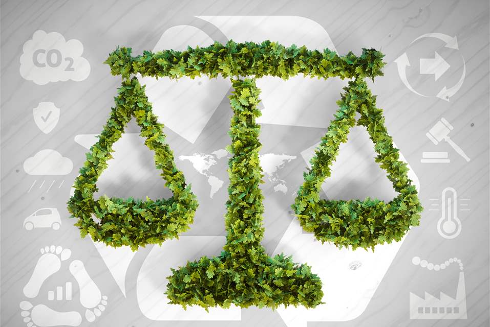 Environmental Litigation Support